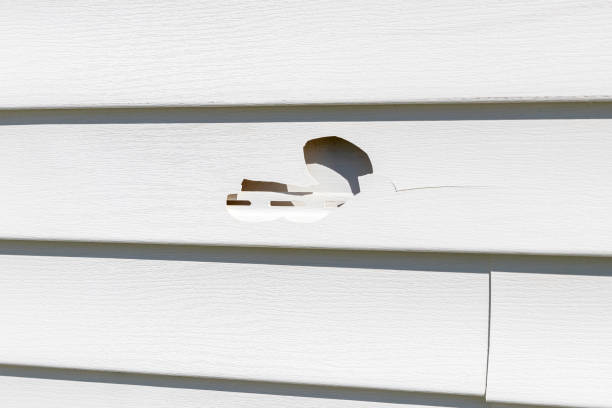 Affordable siding repair and maintenance services in Los Gatos, CA