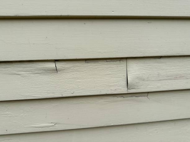 Best Historical Building Siding Restoration  in Los Gatos, CA